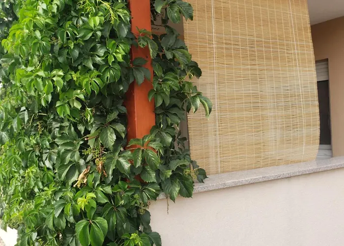 Lejlighed Elena With Free Parking And Terrace Zadar