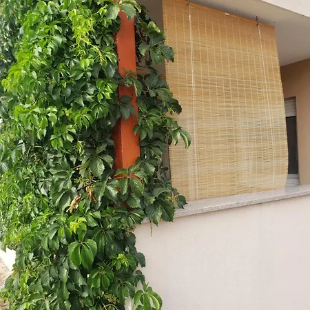 Apartman Elena With Free Parking And Terrace Zára